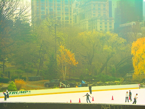NY-Wollman_Rink-Central_Park_Ice_Skating_Christmas-08.JPG