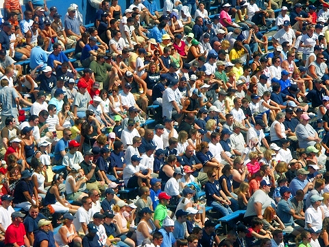 the new york yankees stadium. the new york yankees stadium.