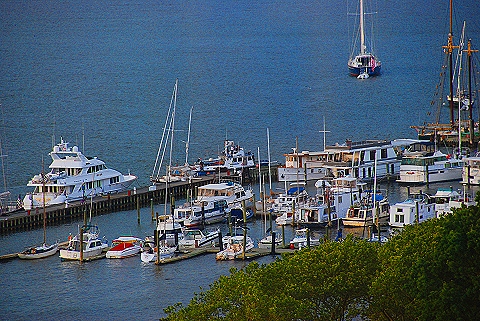 NYPD-Search_and_Rescue_Helicopter_Boat_Divers-W79th_Boat_Basin-18.JPG