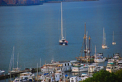 NYPD-Search_and_Rescue_Helicopter_Boat_Divers-W79th_Boat_Basin-20.JPG